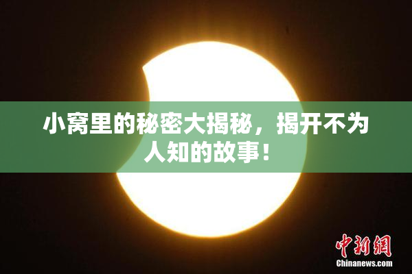 小窝里的秘密大揭秘，揭开不为人知的故事！