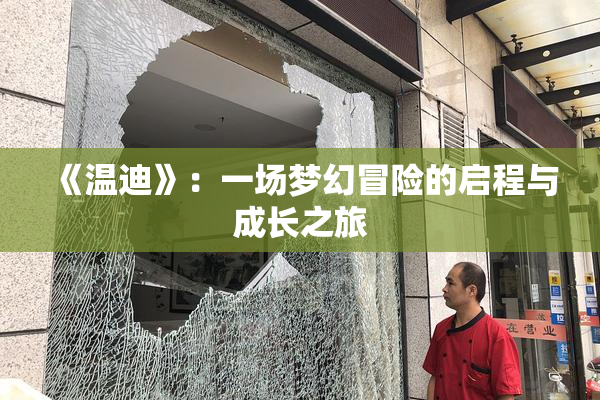 《温迪》：一场梦幻冒险的启程与成长之旅