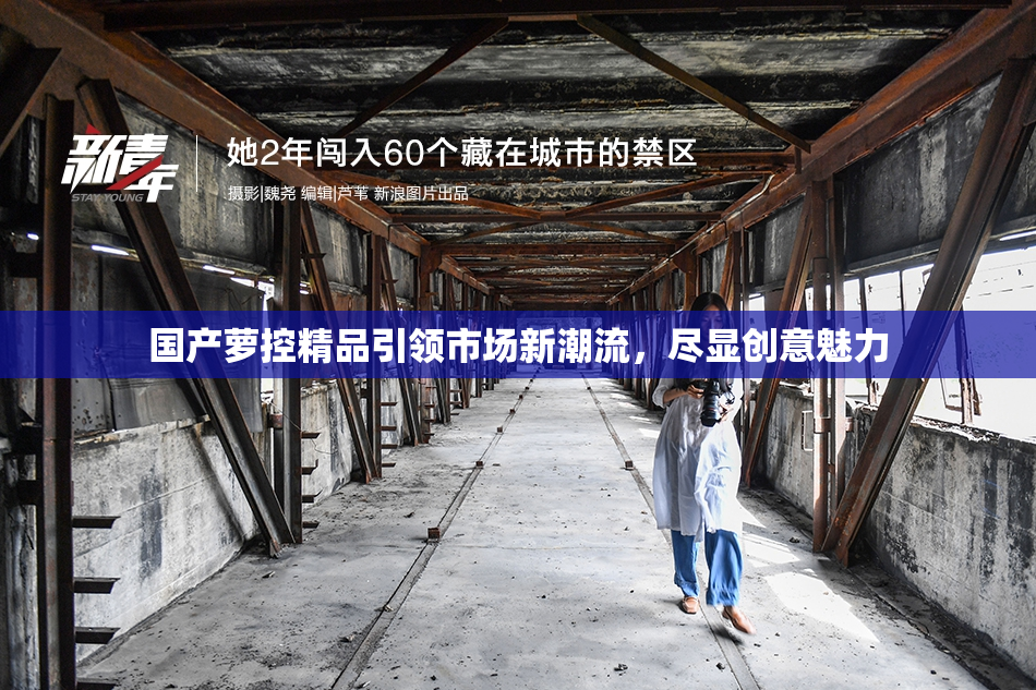 国产萝控精品引领市场新潮流，尽显创意魅力