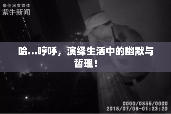 哈…哼呼，演绎生活中的幽默与哲理！