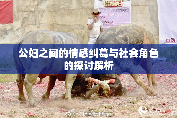 公妇之间的情感纠葛与社会角色的探讨解析