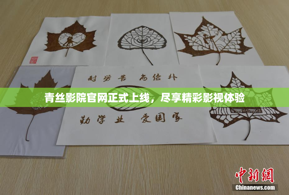 青丝影院官网正式上线，尽享精彩影视体验