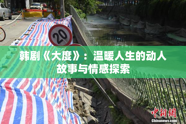 韩剧《大度》：温暖人生的动人故事与情感探索