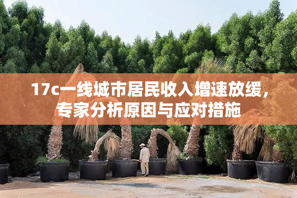 17c一线城市居民收入增速放缓，专家分析原因与应对措施