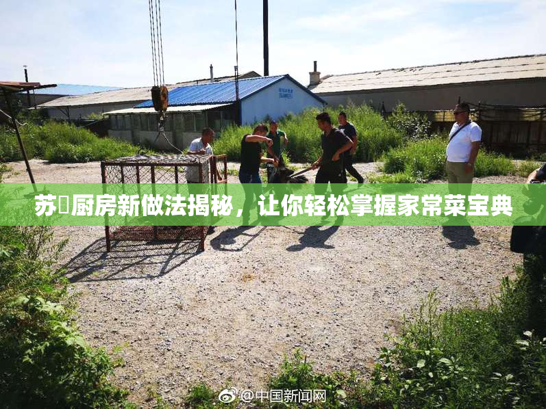 苏玥厨房新做法揭秘，让你轻松掌握家常菜宝典