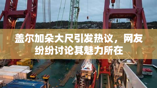 盖尔加朵大尺引发热议，网友纷纷讨论其魅力所在