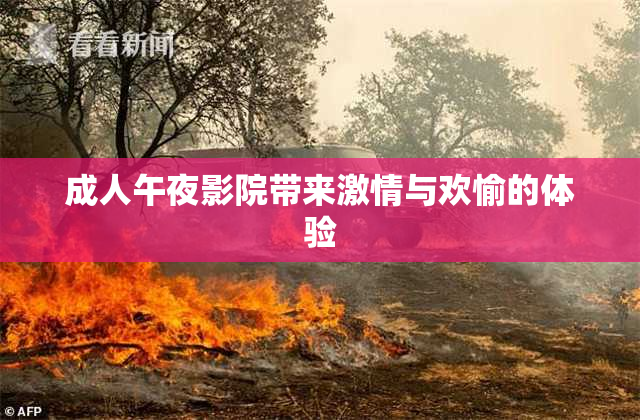 成人午夜影院带来激情与欢愉的体验