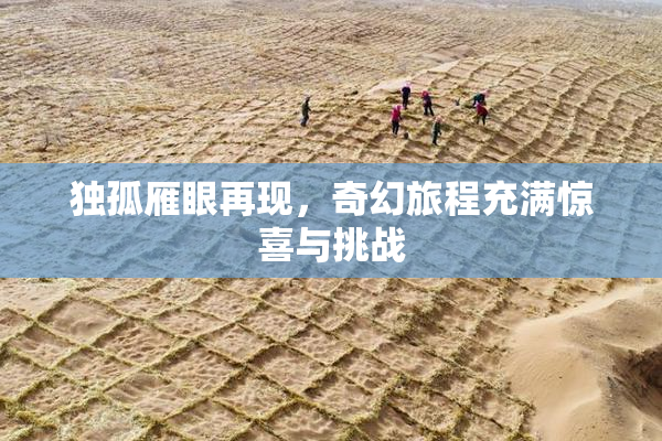 独孤雁眼再现，奇幻旅程充满惊喜与挑战