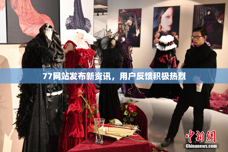 77网站发布新资讯，用户反馈积极热烈