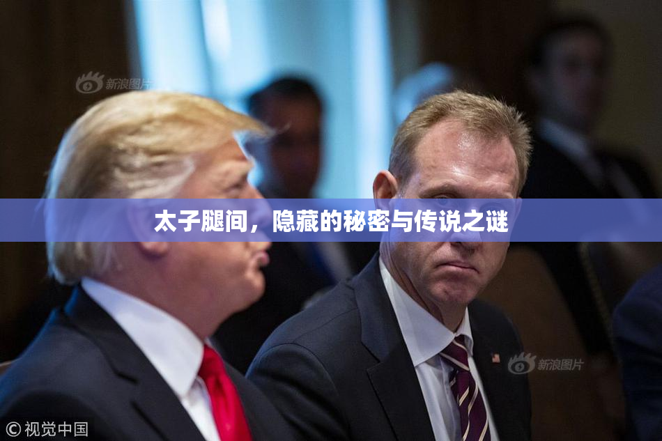 太子腿间，隐藏的秘密与传说之谜