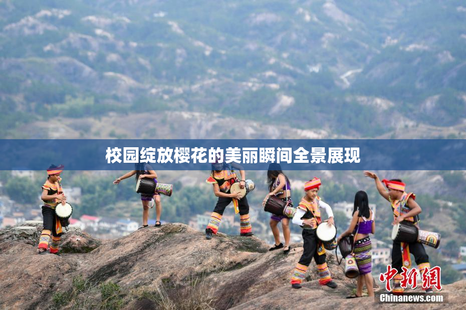 校园绽放樱花的美丽瞬间全景展现