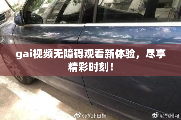 gai视频无障碍观看新体验，尽享精彩时刻！