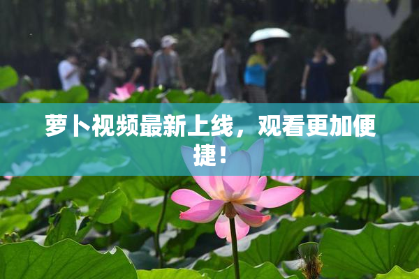 萝卜视频最新上线，观看更加便捷！