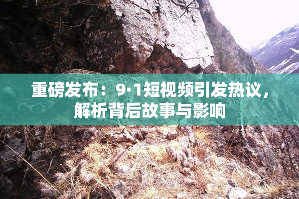 重磅发布：9·1短视频引发热议，解析背后故事与影响