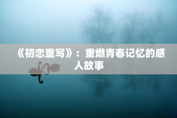 《初恋重写》：重燃青春记忆的感人故事