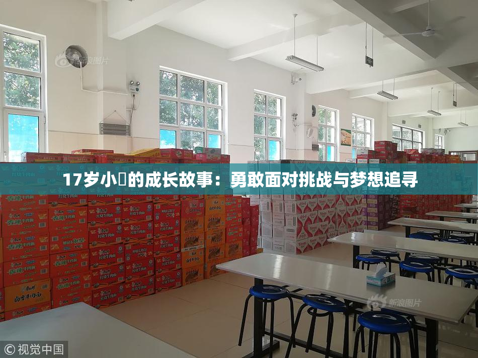 17岁小泬的成长故事：勇敢面对挑战与梦想追寻