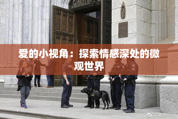 爱的小视角：探索情感深处的微观世界