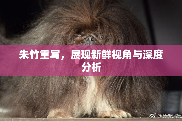 朱竹重写，展现新鲜视角与深度分析