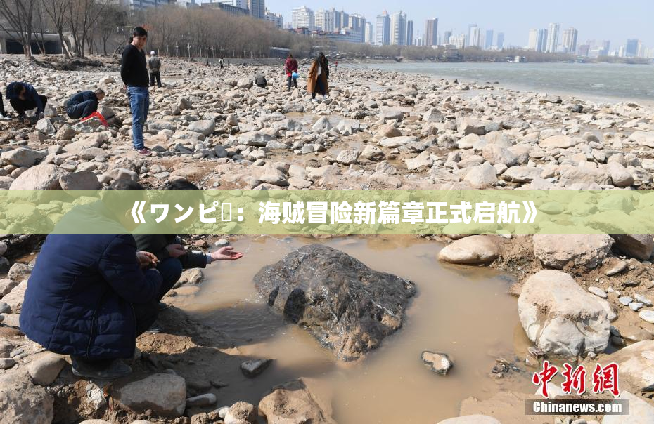 《ワンピー：海贼冒险新篇章正式启航》