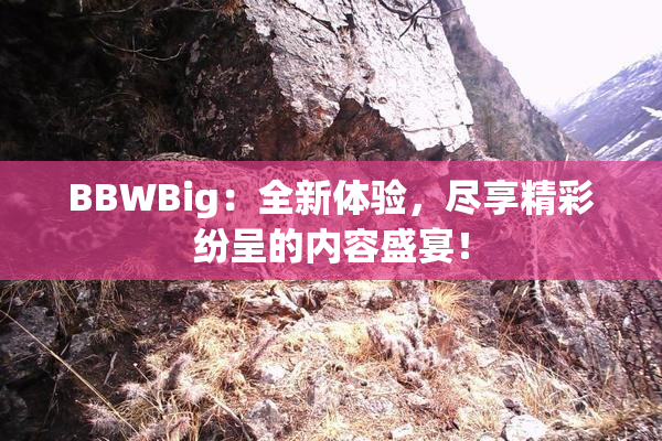 BBWBig：全新体验，尽享精彩纷呈的内容盛宴！