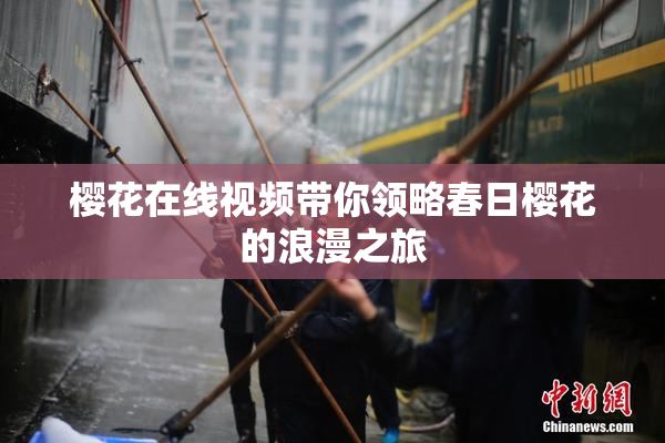 樱花在线视频带你领略春日樱花的浪漫之旅