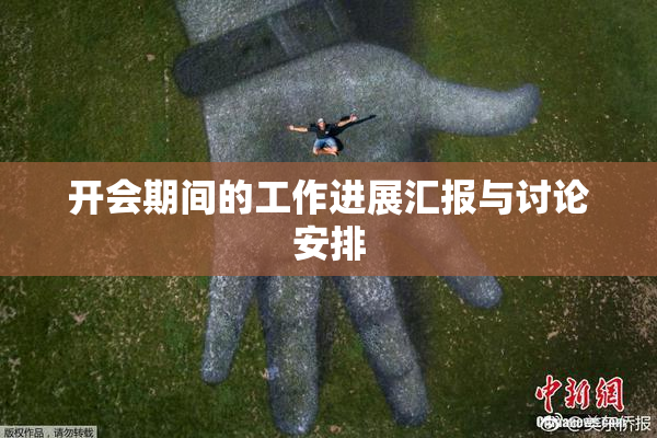 开会期间的工作进展汇报与讨论安排