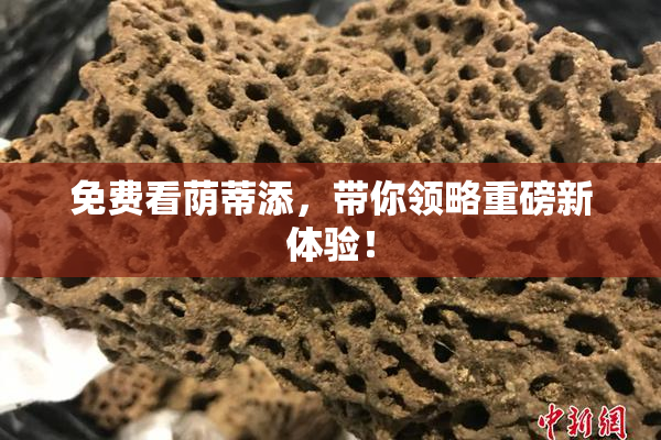 免费看荫蒂添，带你领略重磅新体验！