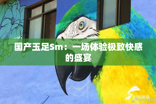国产玉足Sm：一场体验极致快感的盛宴