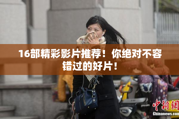 16部精彩影片推荐！你绝对不容错过的好片！