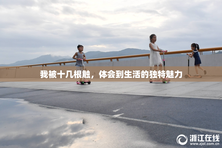 我被十几根触，体会到生活的独特魅力