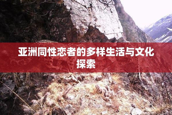 亚洲同性恋者的多样生活与文化探索