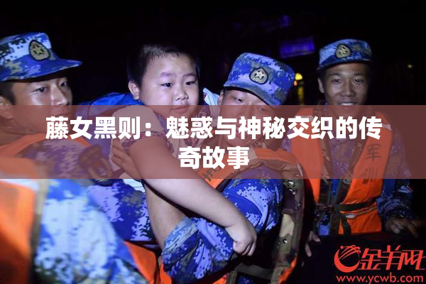 藤女黑则：魅惑与神秘交织的传奇故事