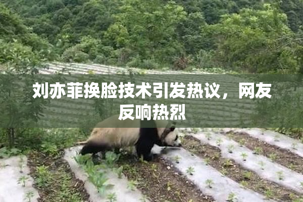 刘亦菲换脸技术引发热议，网友反响热烈