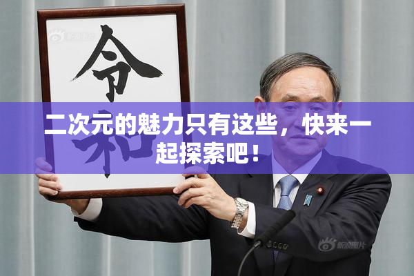 二次元的魅力只有这些，快来一起探索吧！