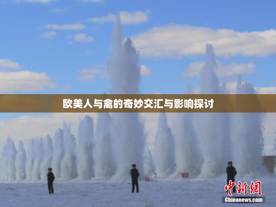 欧美人与禽的奇妙交汇与影响探讨