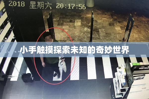 小手触摸探索未知的奇妙世界