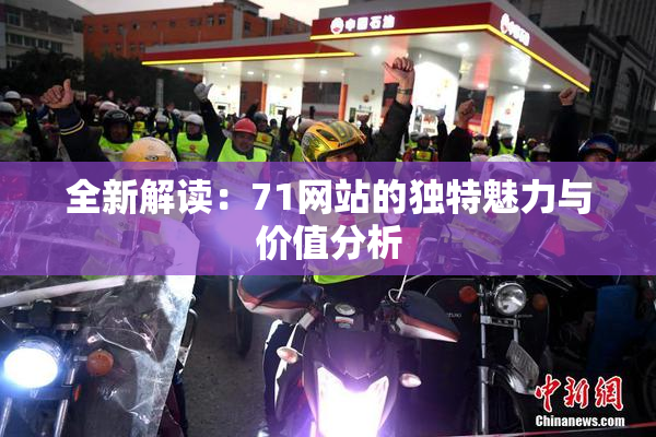 全新解读：71网站的独特魅力与价值分析