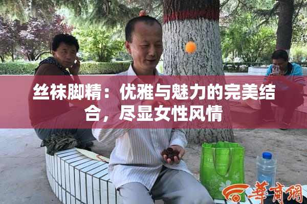 丝袜脚精：优雅与魅力的完美结合，尽显女性风情