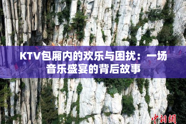 KTV包厢内的欢乐与困扰：一场音乐盛宴的背后故事