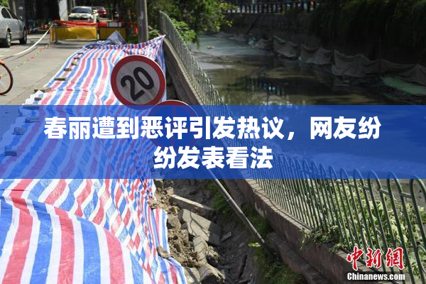 春丽遭到恶评引发热议，网友纷纷发表看法