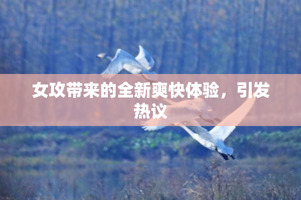 女攻带来的全新爽快体验，引发热议