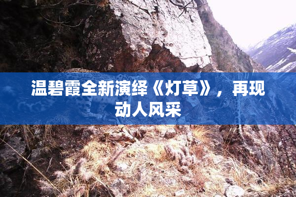 温碧霞全新演绎《灯草》，再现动人风采