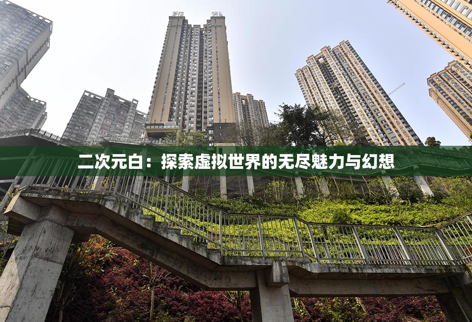 二次元白：探索虚拟世界的无尽魅力与幻想