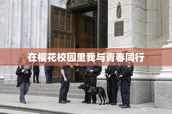 在樱花校园里我与青春同行