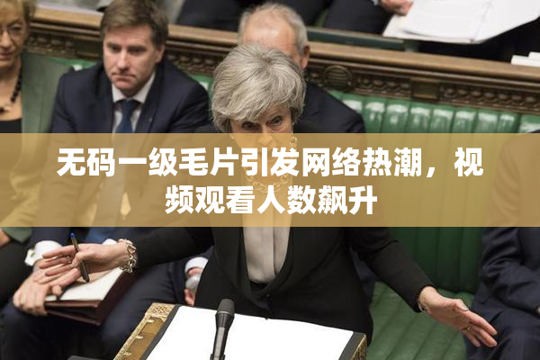 无码一级毛片引发网络热潮，视频观看人数飙升