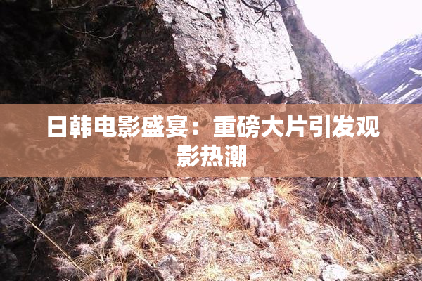日韩电影盛宴：重磅大片引发观影热潮