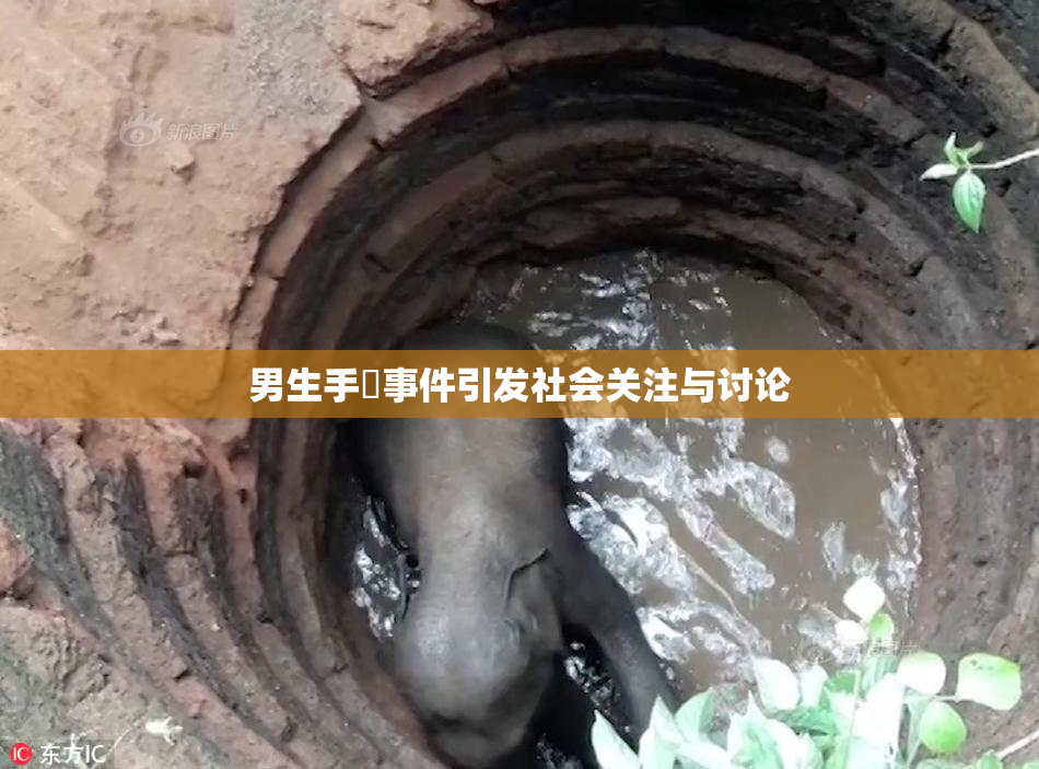 男生手婬事件引发社会关注与讨论