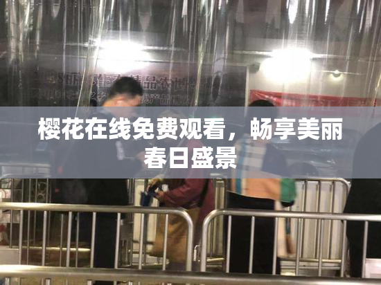 樱花在线免费观看，畅享美丽春日盛景