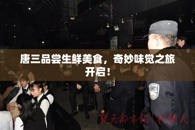 唐三品尝生鲜美食，奇妙味觉之旅开启！