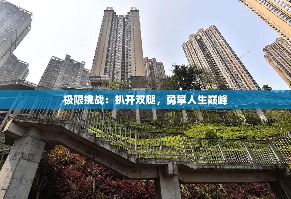 极限挑战：扒开双腿，勇攀人生巅峰
